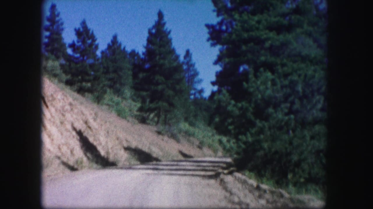 1958 Colorado 8mm frame showing a dirt road curving past a sunlit hillside and tall evergreens.