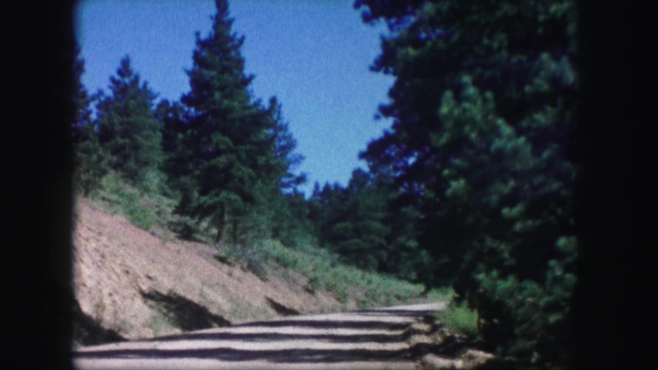 Curving dirt road with evergreen trees, hillside, and shadows across the surface.