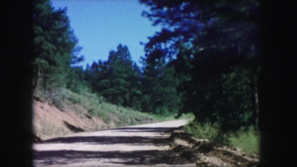 8mm Colorado road view from 1958, looking along a pale dirt track through dense green trees.