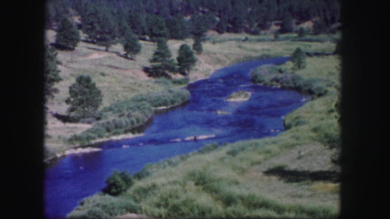 Blue river curving through green meadows with pine trees and forested hills.