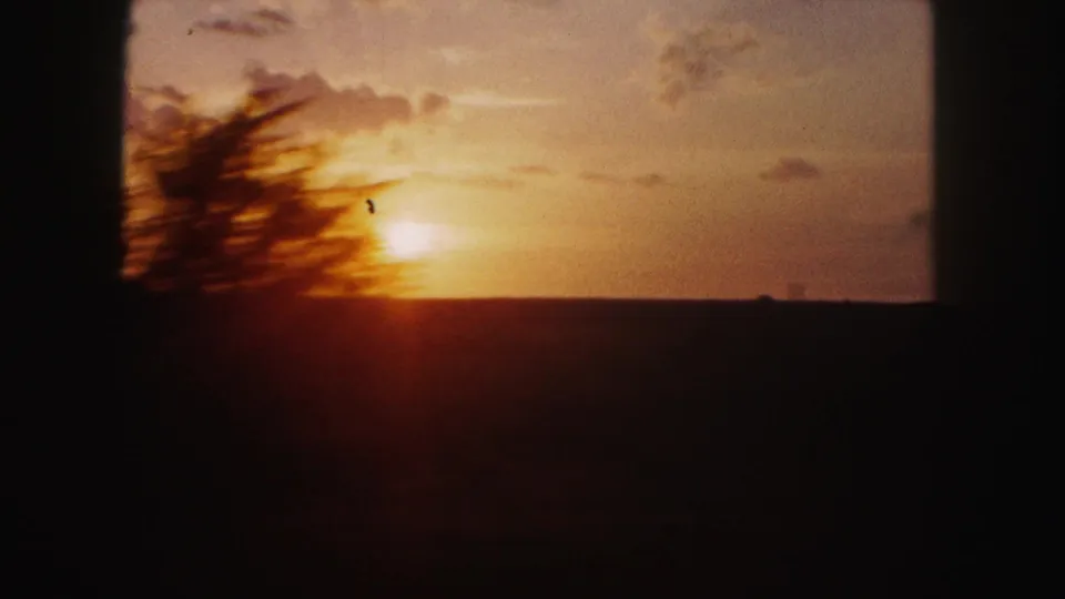 A moving 8mm shot near Denver catches a tree silhouette crossing the warm sunset sky above a flat horizon.