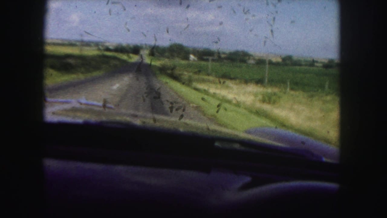 Windshield view of a rural road with fields and roadside poles ahead.