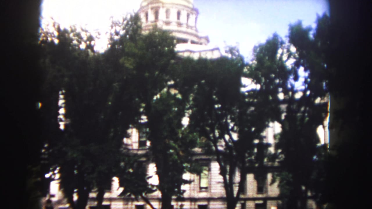 Capitol dome and upper facade seen through dense trees in bright daylight.