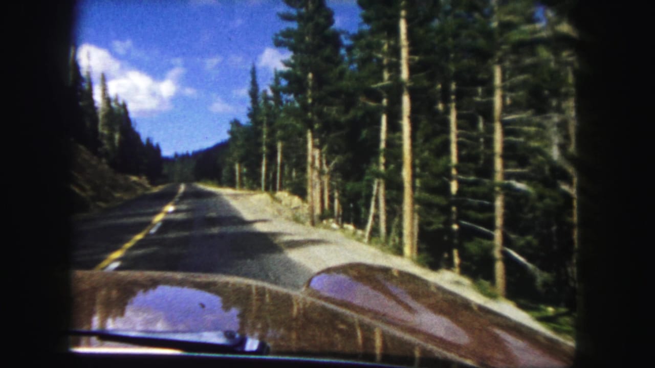 Car hood and windshield view on a two-lane mountain road lined with pine trees.