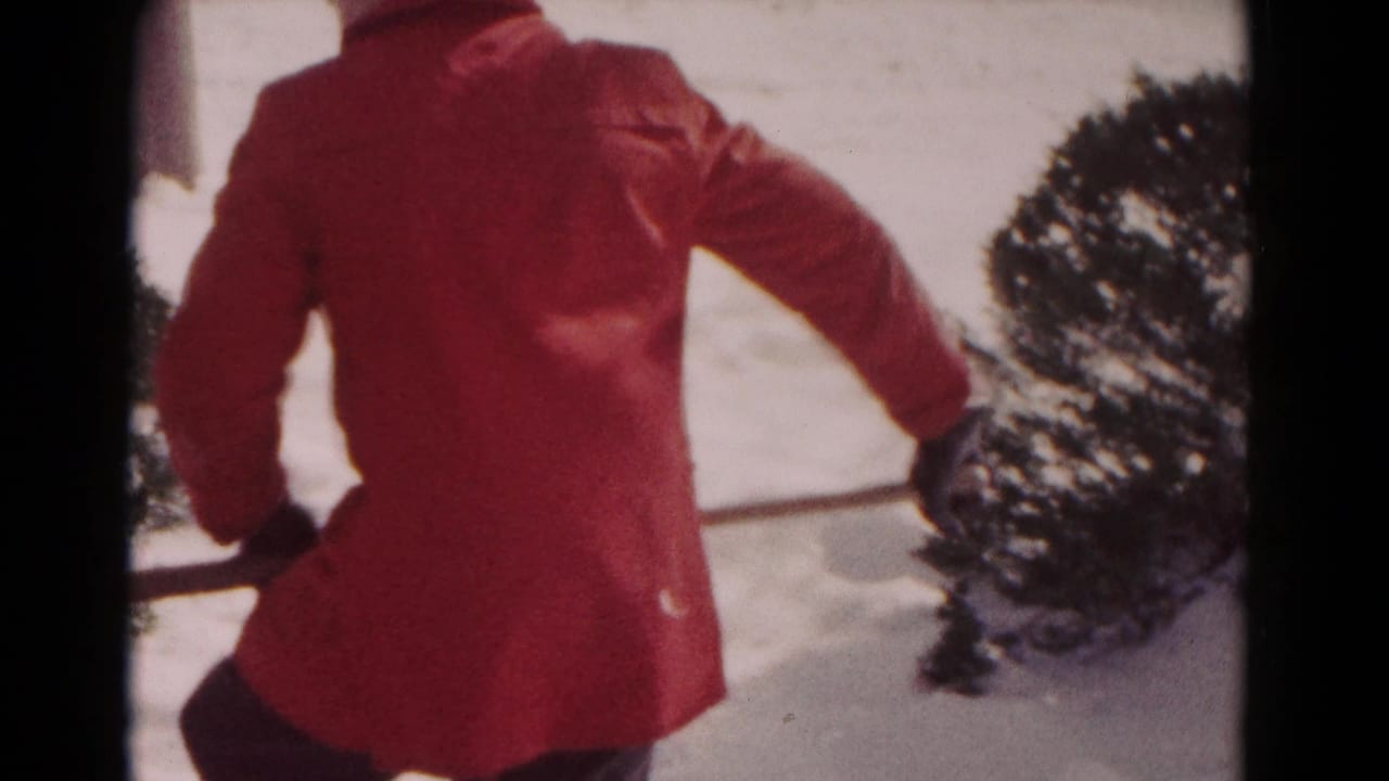 Person in a red coat seen from behind while shoveling snow near evergreen bushes.