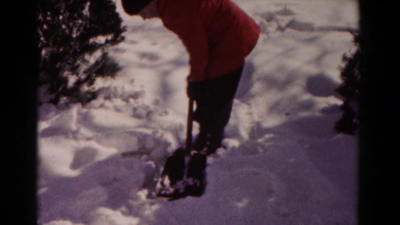 Person in an orange jacket bends over a shovel in deep snow beside a small evergreen bush.