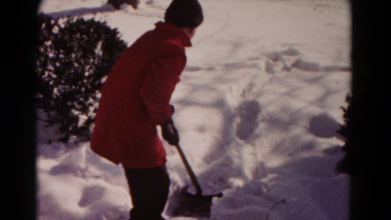 Person in a red winter coat shoveling deep snow beside shrubs.