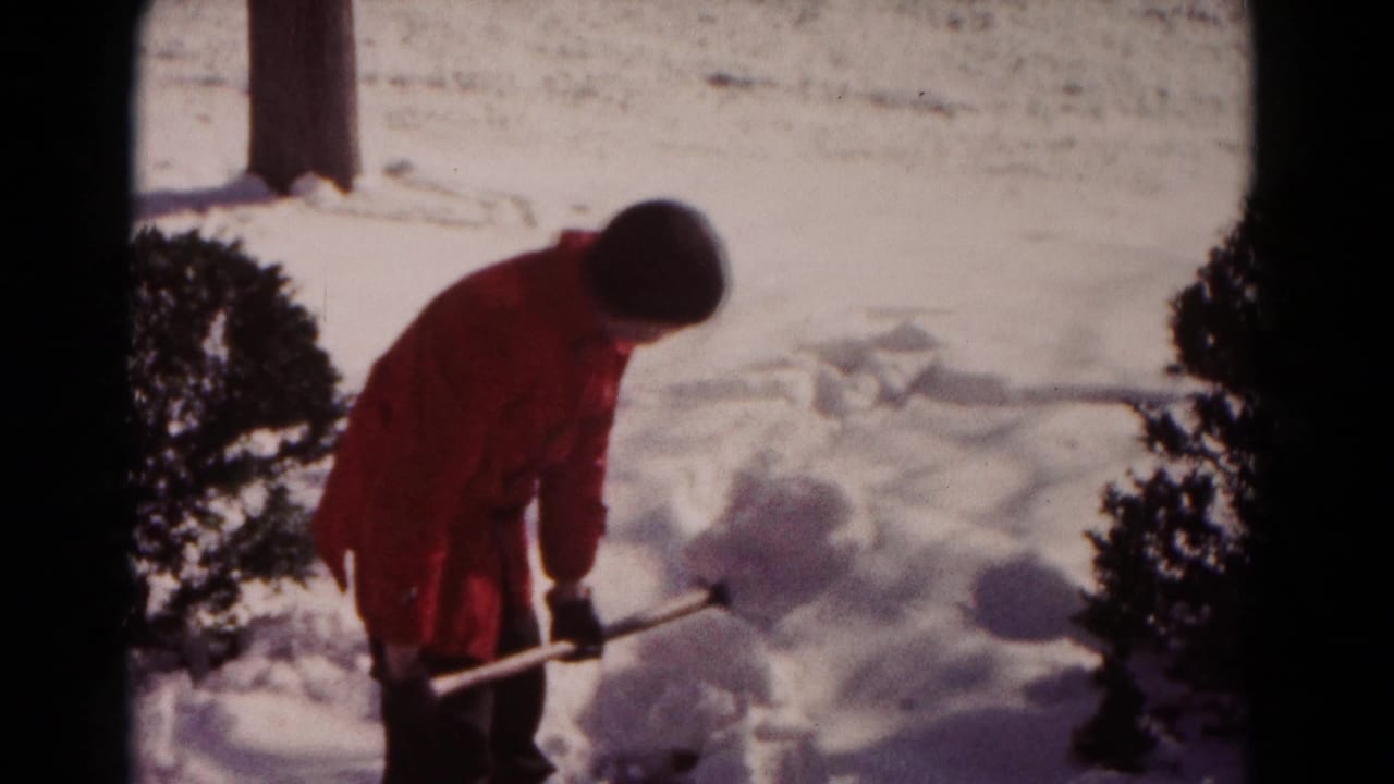 Person bends over a shovel while clearing snow near a shrub.