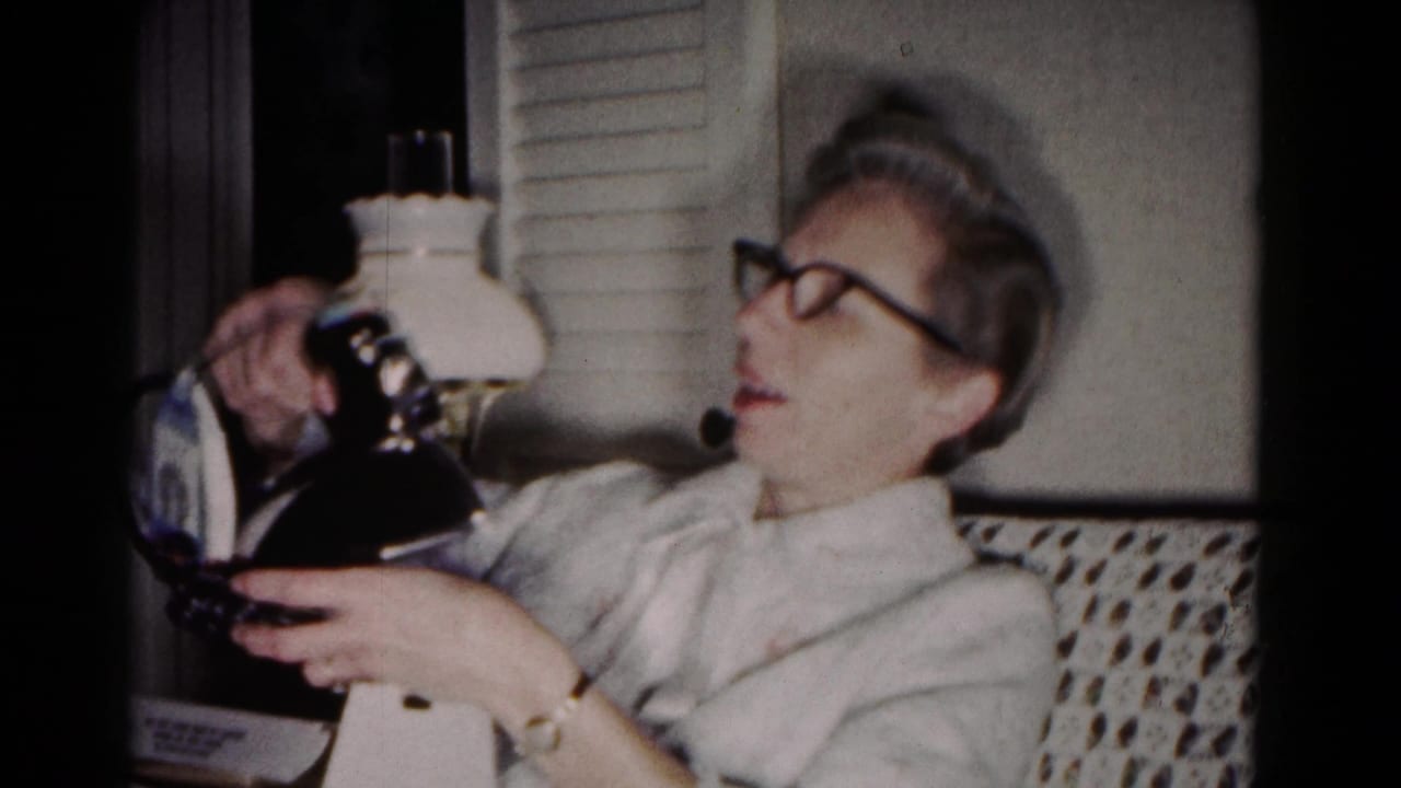 The woman turns the iron toward herself in a Hagerstown living room, with a lamp and shuttered window behind her.