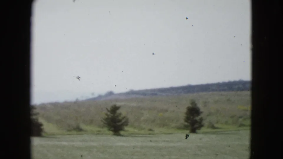 1958 8mm frame from Las Vegas showing a soft-focus grassy area, a small tree, distant ridge, and pale sky.