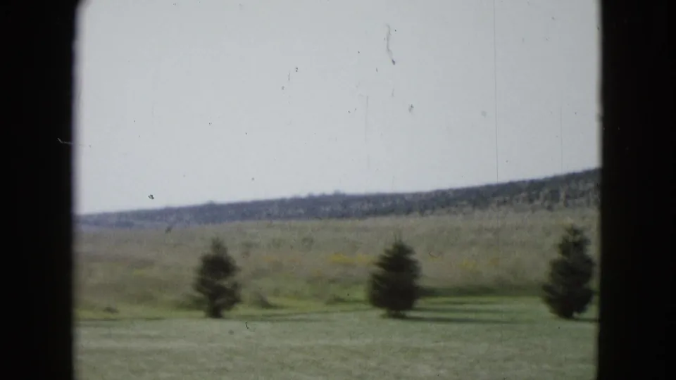 1958 8mm frame from Las Vegas showing several small trees across a grassy open area with a distant low hillside.