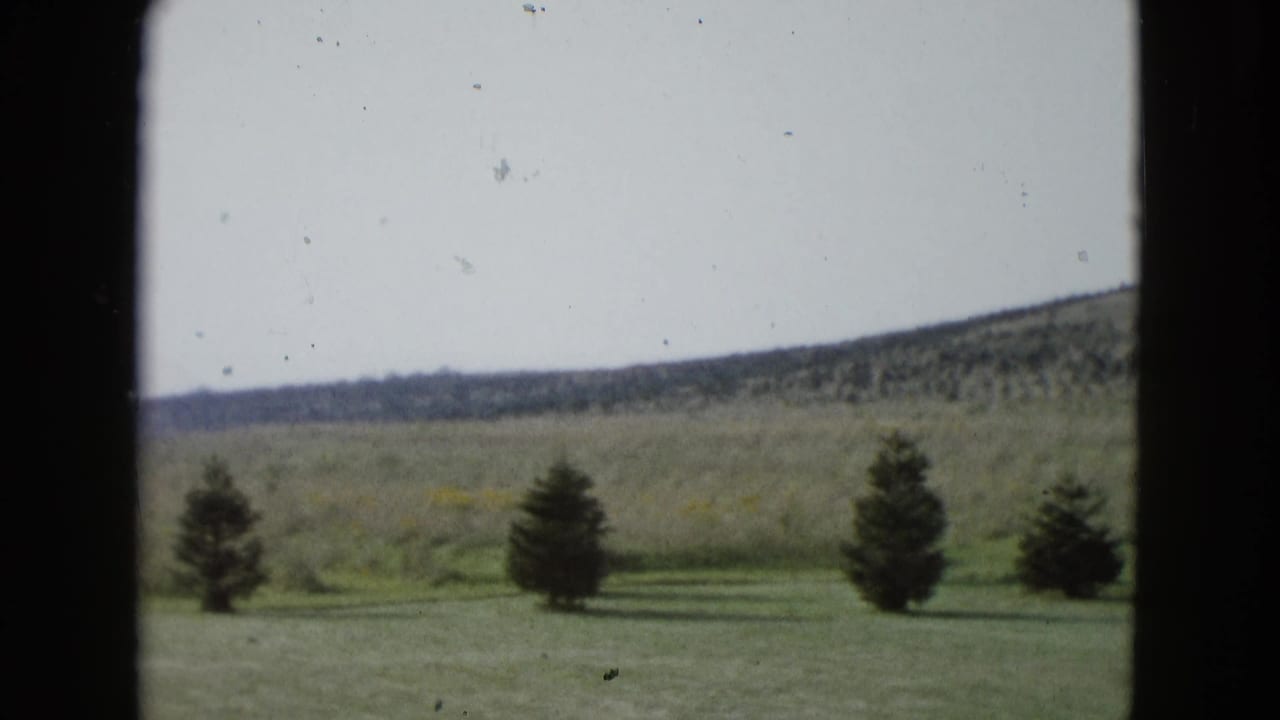 1958 8mm Las Vegas-area rural view with evergreen trees in a grassy field and a low scrub-covered hill beyond.