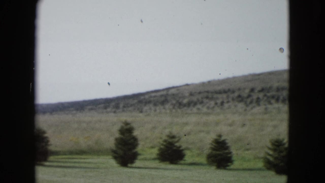 Vintage 8mm frame of a rural Las Vegas-area field with planted evergreens and brushy hills in the distance.