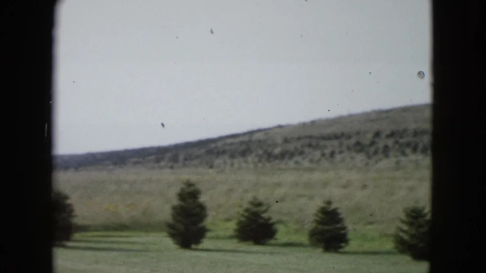 Vintage 8mm frame of a rural Las Vegas-area field with planted evergreens and brushy hills in the distance.