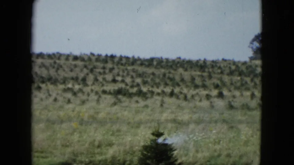 1958 Las Vegas-area 8mm frame of rural grassland, a low scrub hill, and a small tree, viewed through dark vertical bars.