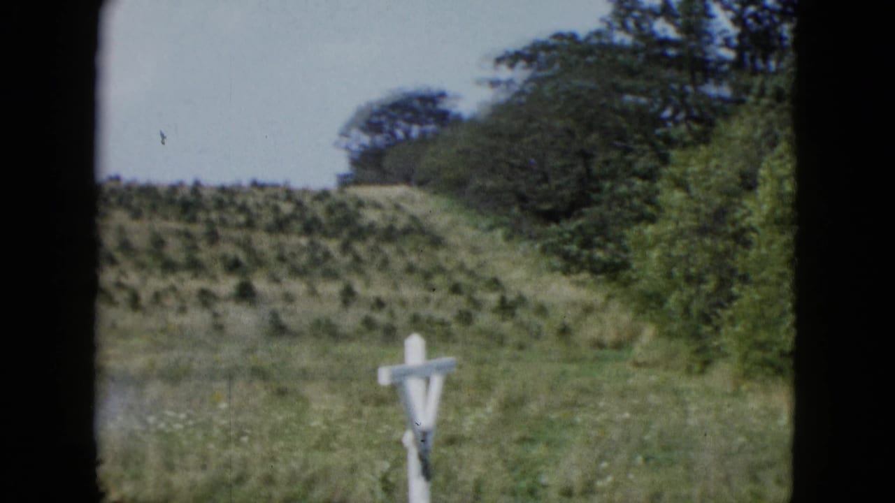 Grassy hillside with trees and a white cross near the lower foreground.