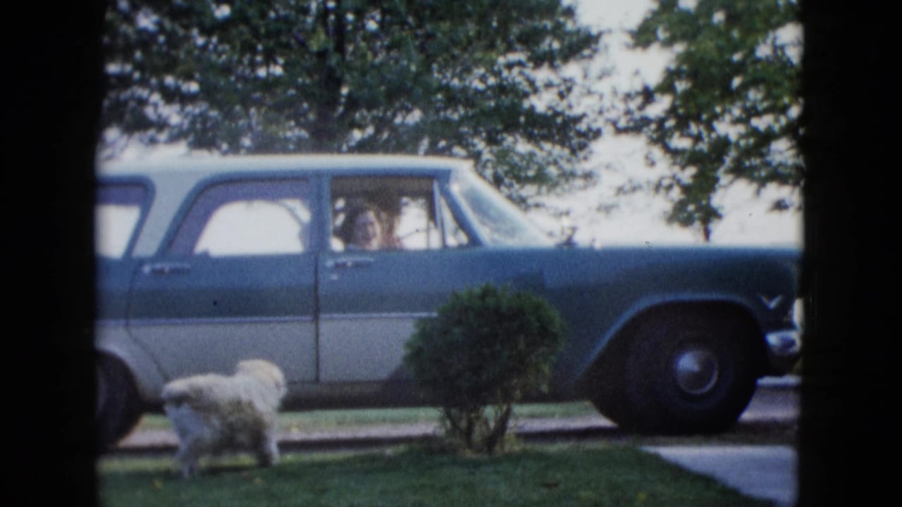 White dog standing on a lawn beside a two-tone station wagon parked at the curb.