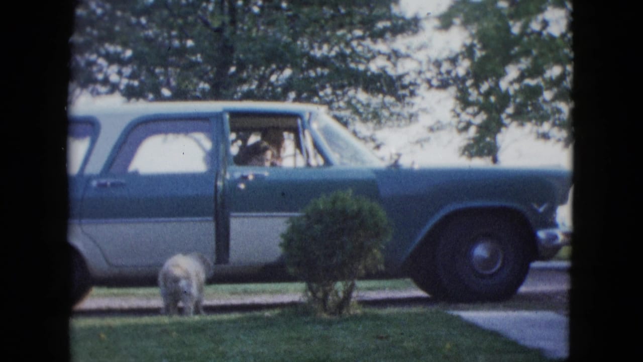 A two-tone station wagon is parked by a Las Vegas lawn as the white dog stands near an open car door.