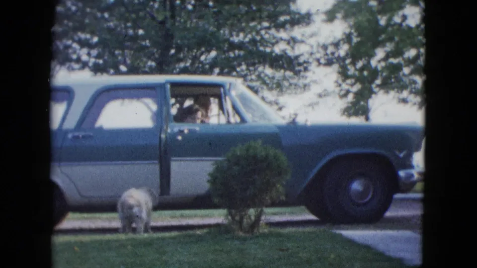 A two-tone station wagon is parked by a Las Vegas lawn as the white dog stands near an open car door.