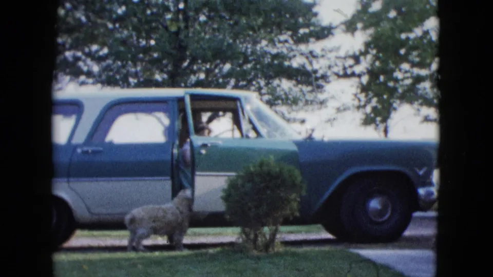 The white dog stands near the open door of a mid-century station wagon in the Las Vegas home-movie scene.