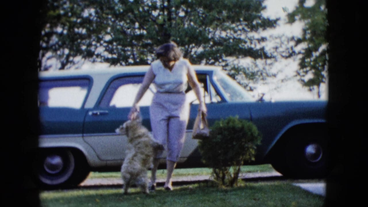 Woman walking a small fluffy dog beside a blue and white station wagon on a lawn.