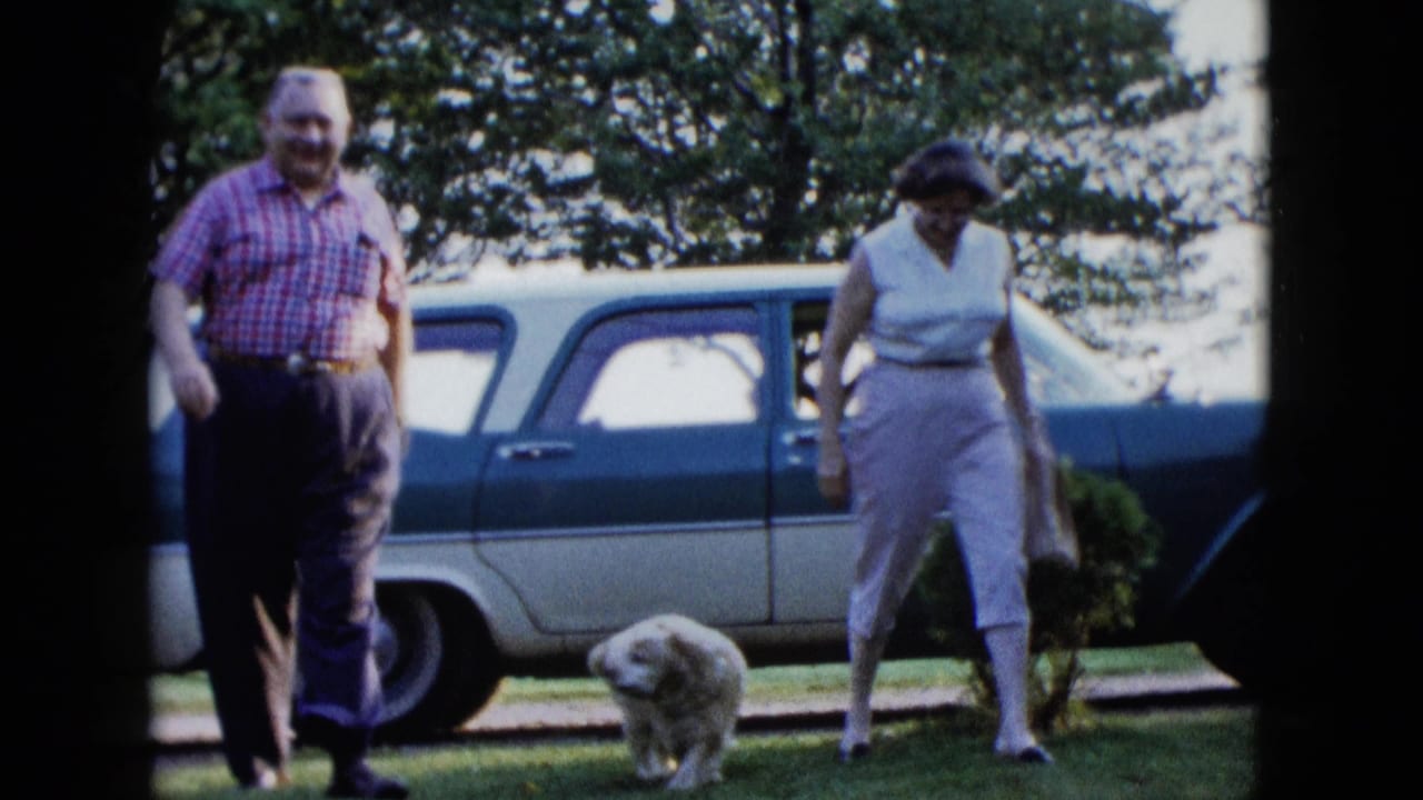 Man and woman walking near a small dog with a station wagon behind them.