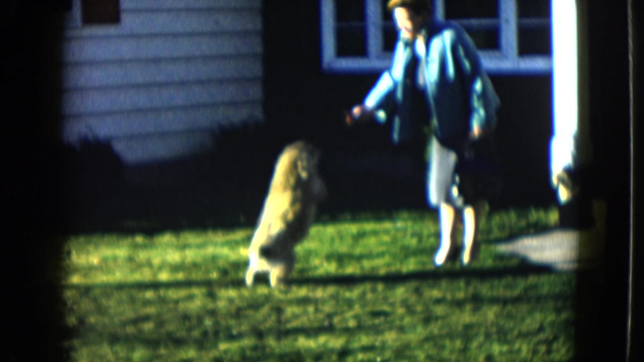 1958 Las Vegas home-movie frame showing a woman in a blue jacket playing with a small dog on the lawn outside a residence.