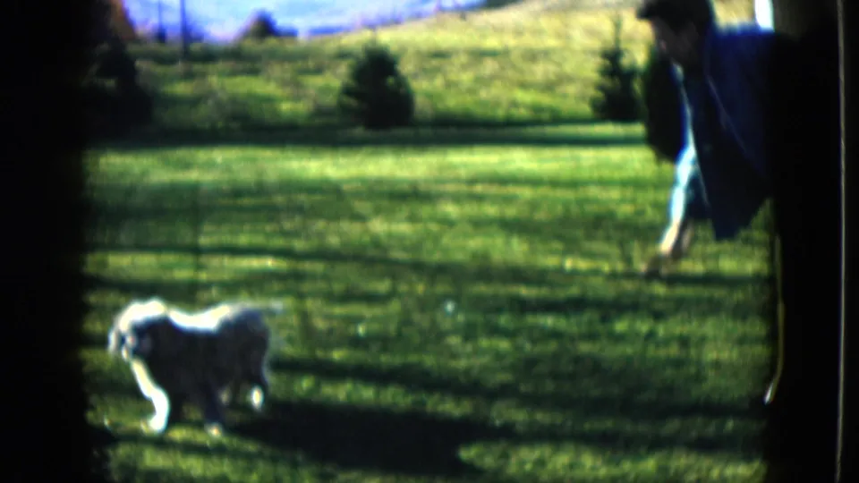 The dog moves across the grass while a partially visible adult appears to bend or gesture toward it in the yard.