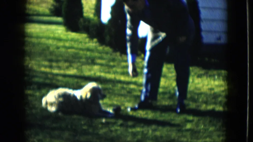 An adult in blue pants bends toward a tan dog lying on a lawn, with shrubs and a house exterior behind them.