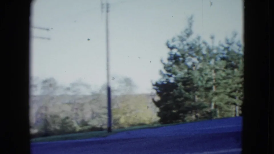 1958 Las Vegas street view with a utility pole, trees, pale sky, roadside slope, and no visible people or vehicles.