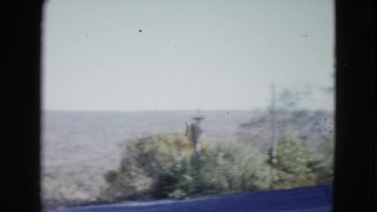 Desert brush and utility poles seen against distant hills and pale sky.