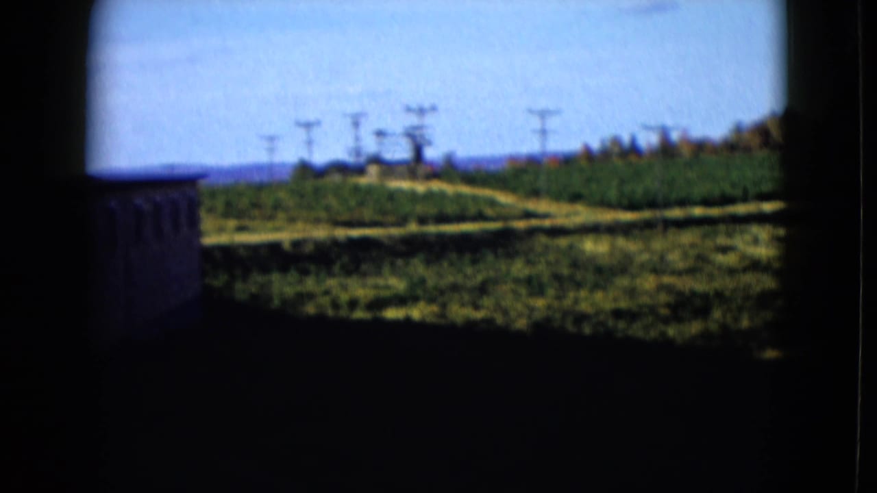 1958 8mm view across a green field, with utility poles and a distant treeline seen through a shadowed frame.