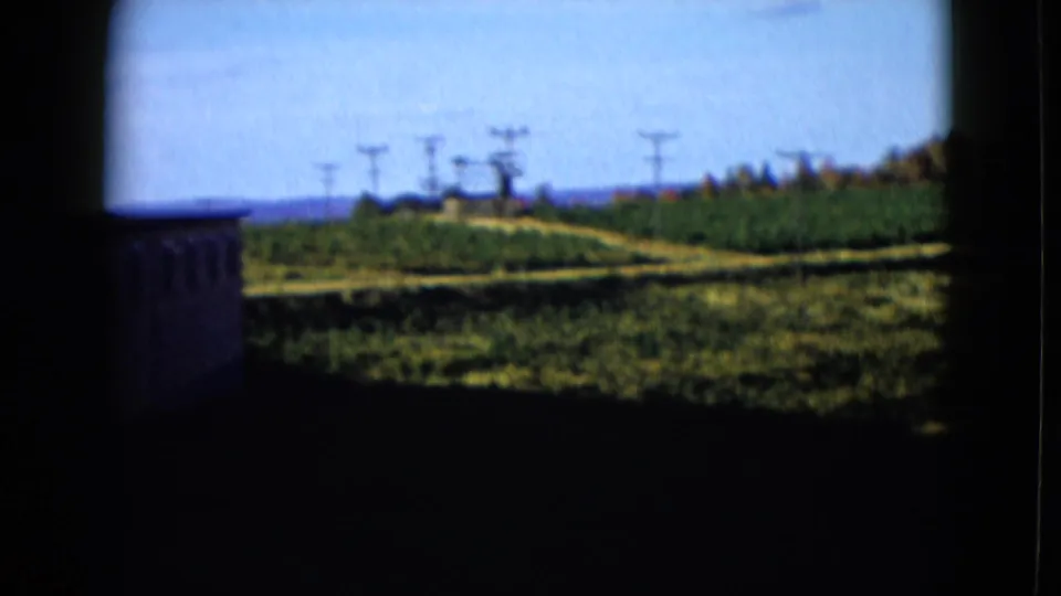 1958 8mm view across a green field, with utility poles and a distant treeline seen through a shadowed frame.