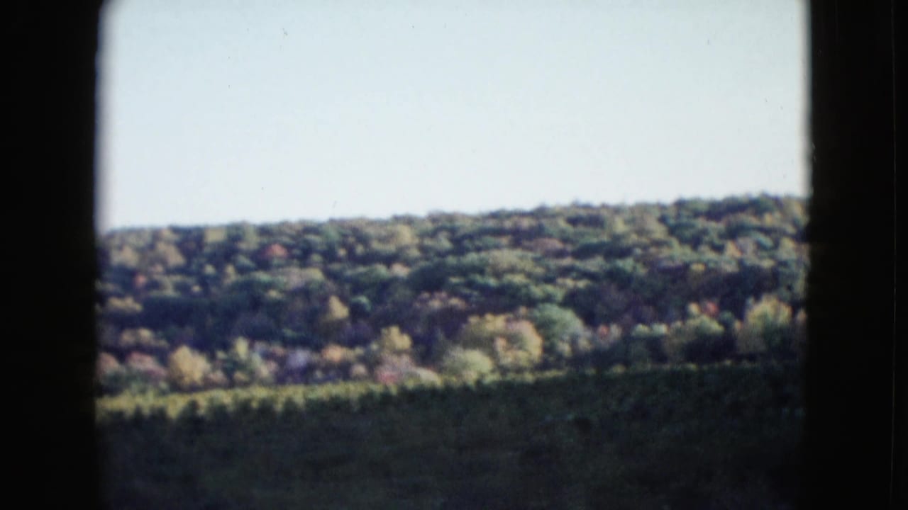 1958 8mm view of a wooded hillside near Las Vegas metadata, framed by dark window or vehicle edges.