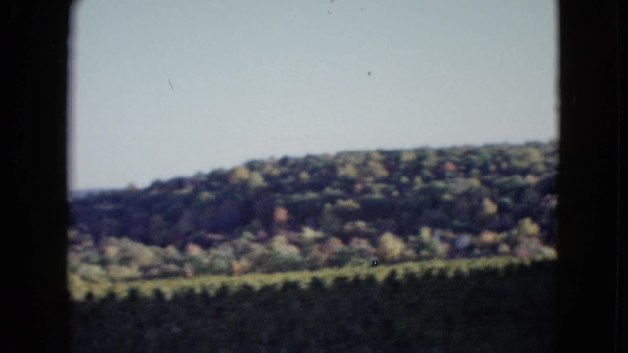 Distant wooded hillside with dark borders and a bright sky above.