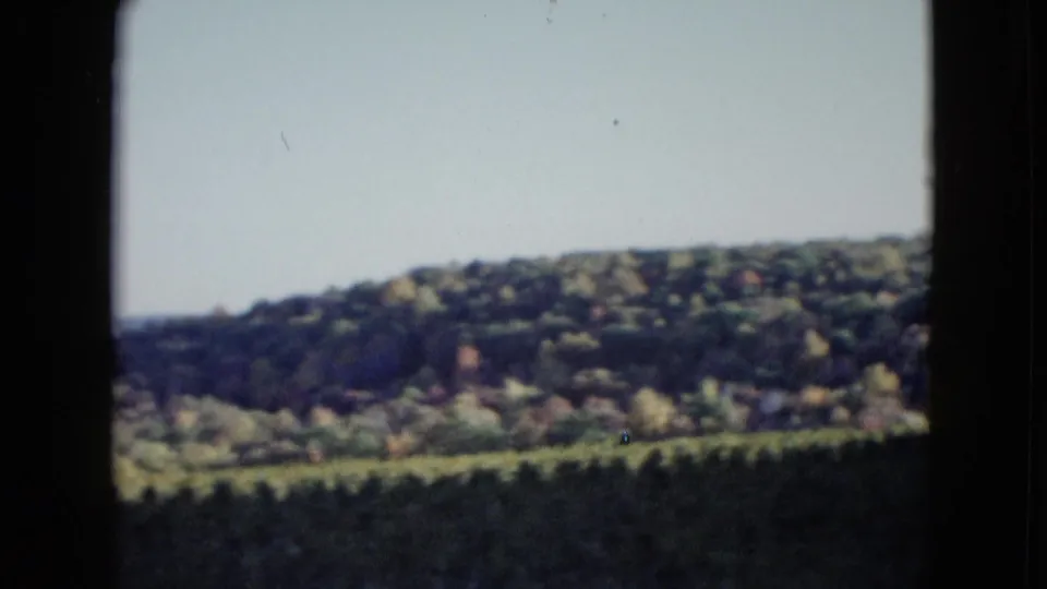 Soft 8mm frame of a tree-covered ridge, likely from the 1958 Las Vegas-area home movie metadata.