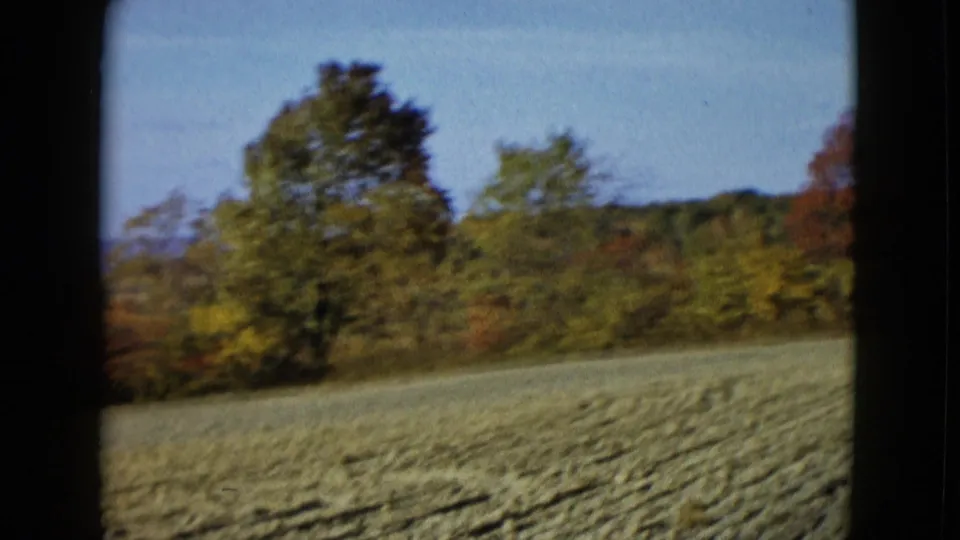 1958 8mm home-movie view across a tilled rural field toward green and autumn-colored trees under a blue sky.