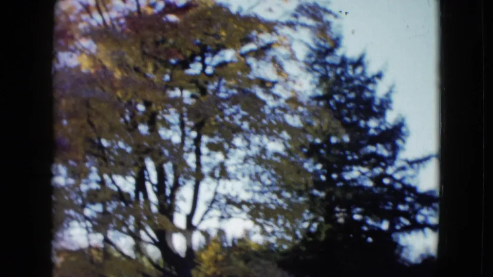 1958 Las Vegas home-movie frame showing leafy trees and pale sky viewed from a shaded edge or opening.