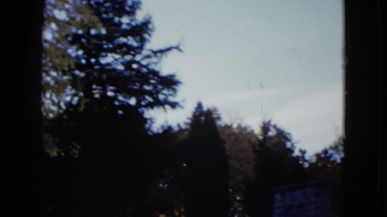 1958 Las Vegas outdoor view with dark trees against a pale sky and a small distant structure near the right edge.