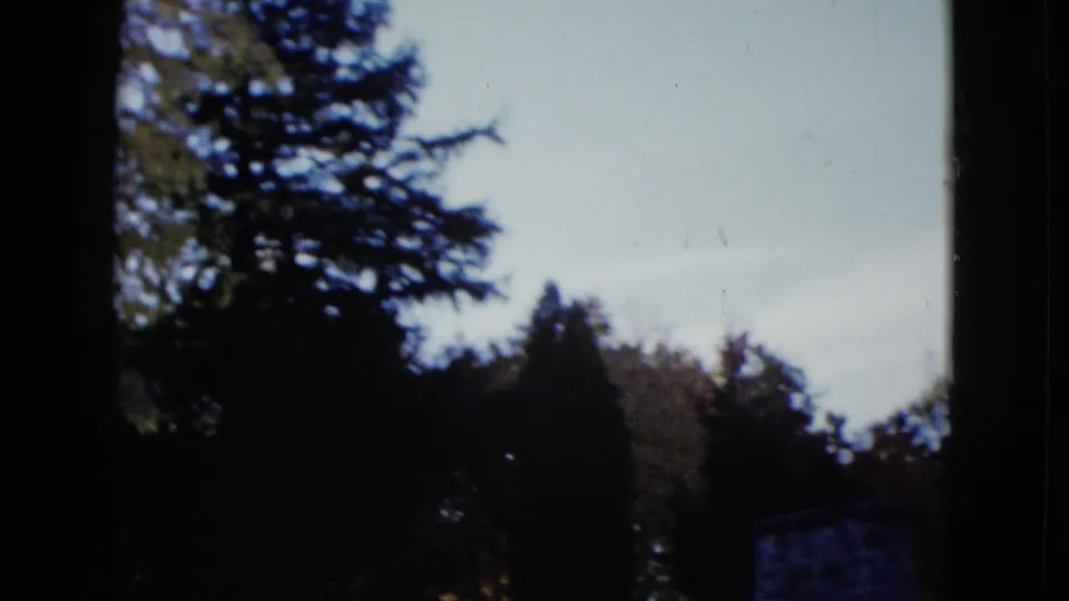 1958 Las Vegas outdoor view with dark trees against a pale sky and a small distant structure near the right edge.