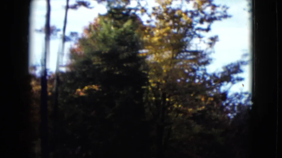 1958 8mm home-movie frame with passing trees, green and autumn leaves, and bright sky.
