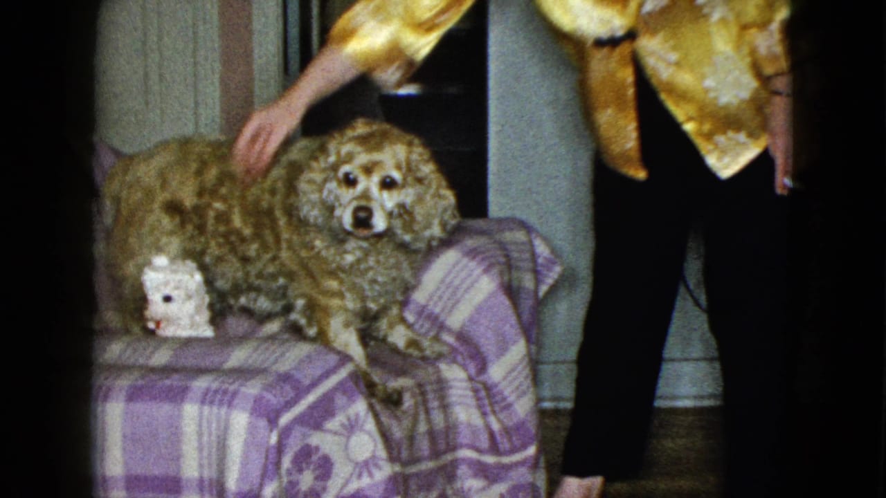 In 1958 Las Vegas home-movie footage, a woman in a gold robe stands beside a purple plaid sofa with two plush animals.