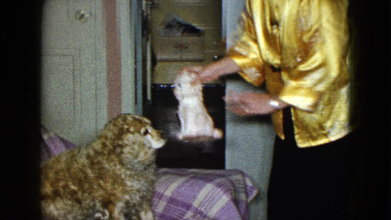 A woman in a shimmering robe presents a small white plush dog beside a brown stuffed animal in a private Las Vegas interior.