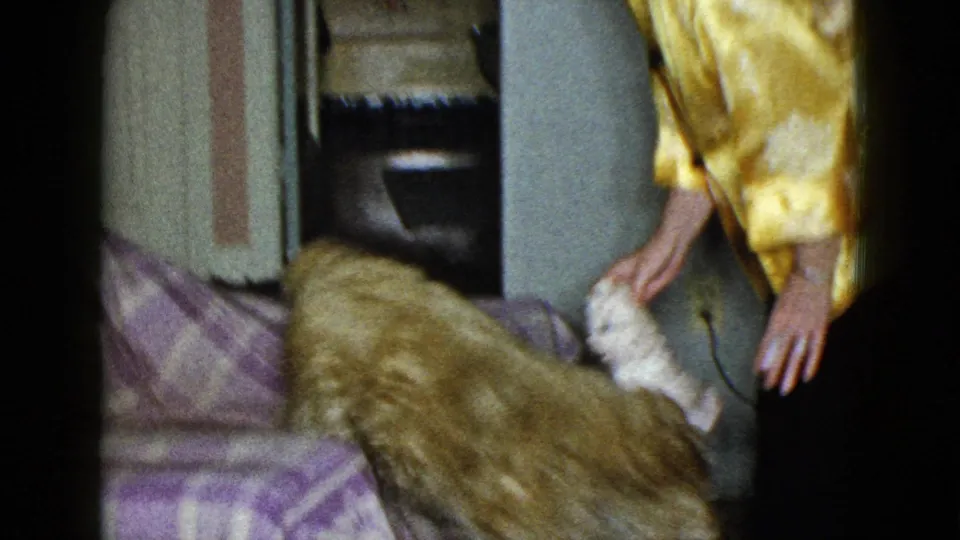 The woman bends toward the plaid sofa, lowering the small white plush dog near a larger brown stuffed animal in the room.