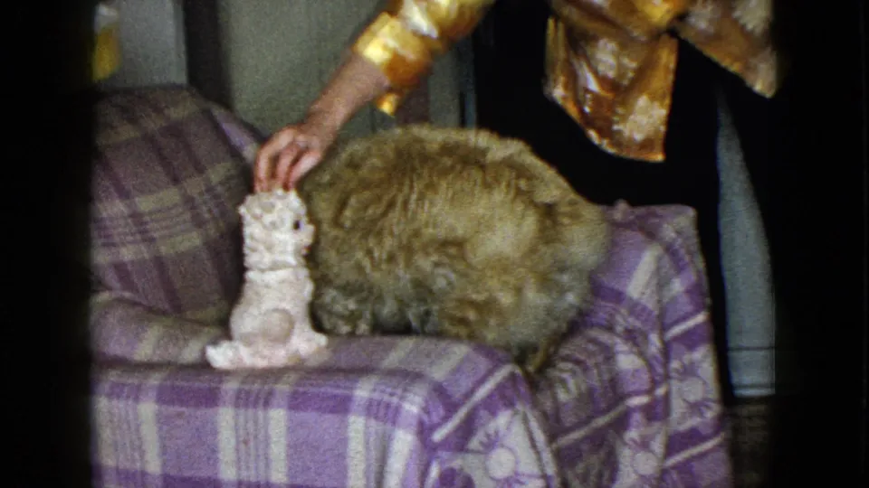 The woman steadies a small white plush dog on the plaid sofa next to the fluffy brown stuffed animal in the 1958 interior scene.