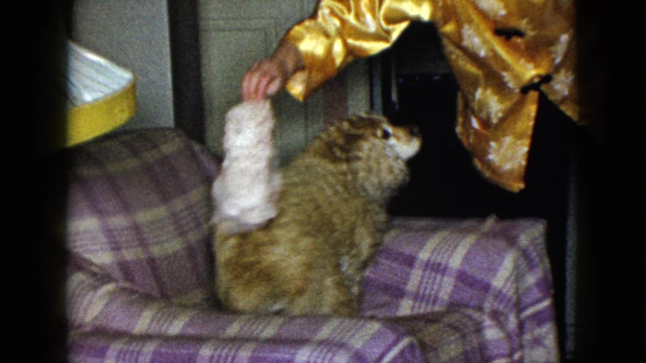 Woman in a gold jacket holds a white stuffed toy above a fluffy brown dog on a plaid armchair.