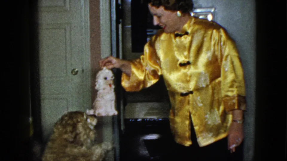 Inside the private home setting, the woman lowers the stuffed toy toward the fluffy dog as the playful exchange continues.