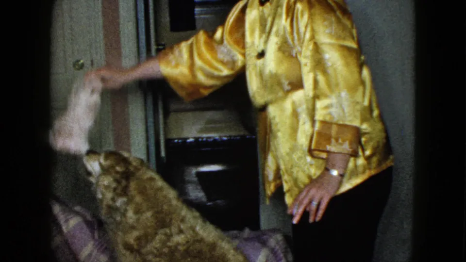 The fluffy brown dog stretches toward a white toy held by the woman in a gold satin jacket inside the Las Vegas home interior.