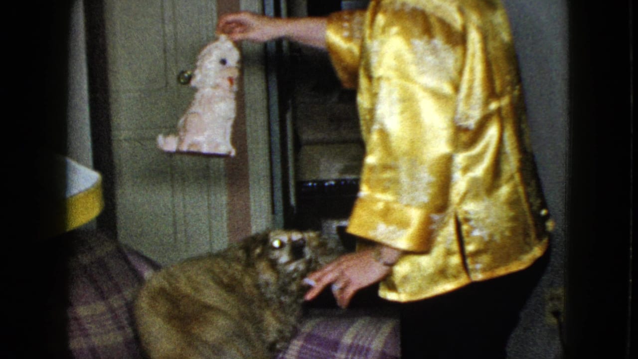 Man in a gold shirt dangles a white plush toy above a fluffy dog on a plaid couch.