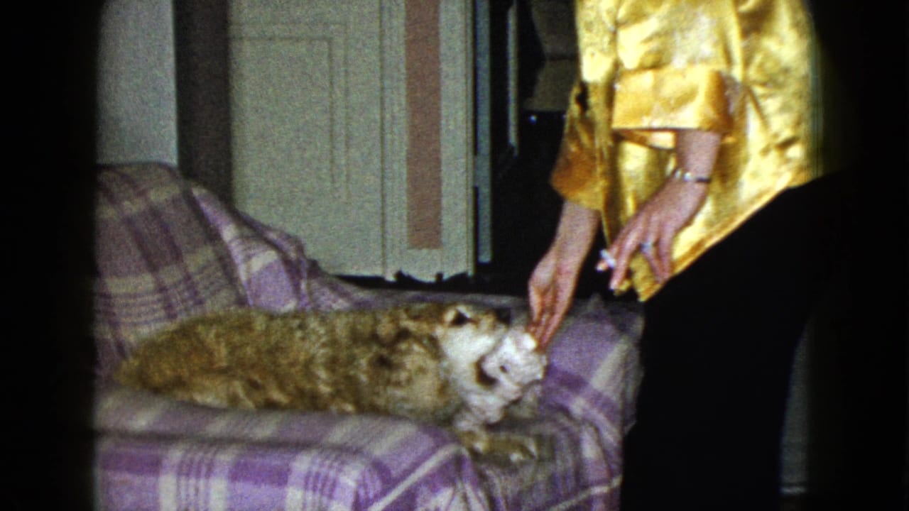 In a 1958 Las Vegas home interior, a woman in a gold satin dress offers something to a small dog on a purple plaid couch.
